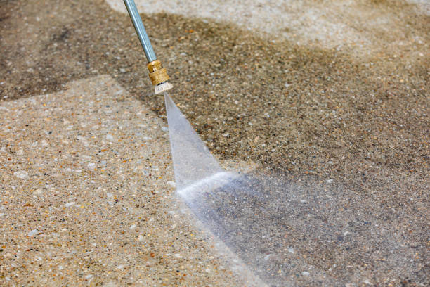 Best Soft Washing for Delicate Surfaces in Waterloo, IN